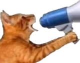 sexooooo emote