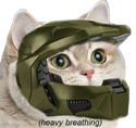 HypeCat emoji