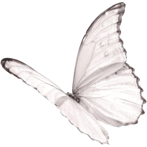 white_coquette_butterfly emote