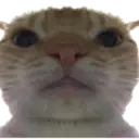 BRUH emote