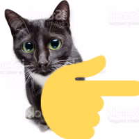pointingrightcat emote