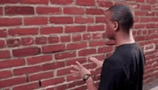 WALL emote