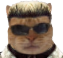 WHISKERS emote