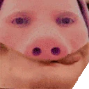 PorkTasty emote