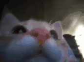 KEKW emote
