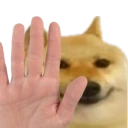 buenoStop emote