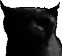 Sadbruhcat emote