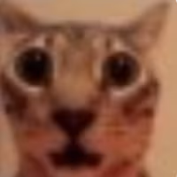 gato emote