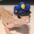 LeopardGeckoPolice emote