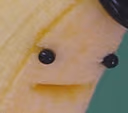 banana_huh emote