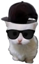 LilEwp emote