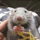Rateatinspaghethehappy emote
