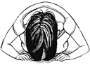 Momo_Kneel emote