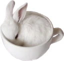 bun_cup emote