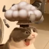 WHATDAHELL emote