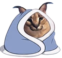 floppaCozy emote
