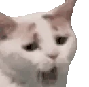 yawN emote
