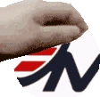 Pet_Sm_Logo emote