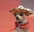 Spanish emote