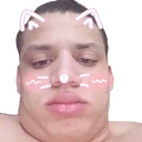 kitten emote