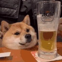 shibaBeer emoji