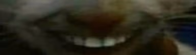 xdd2 emote