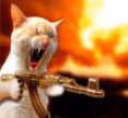Cat_with_gun emote