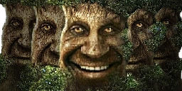 TheWoods emote