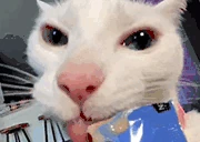 Nom emote