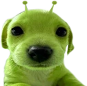 glerp emote