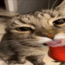 strawberry emote