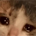 CE_SadEyes emoji