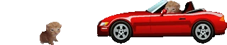 hitandrunbert emote