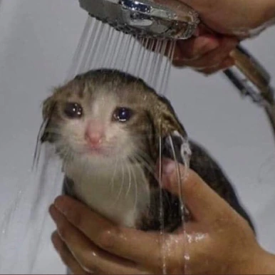 sad_wet_cat emote