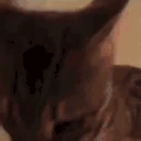 STRESSED emote