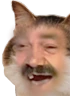 kiisu_risitas emote