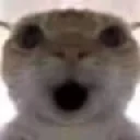 HOLYMOLY emote
