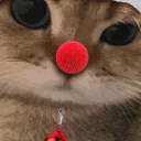 rar emote