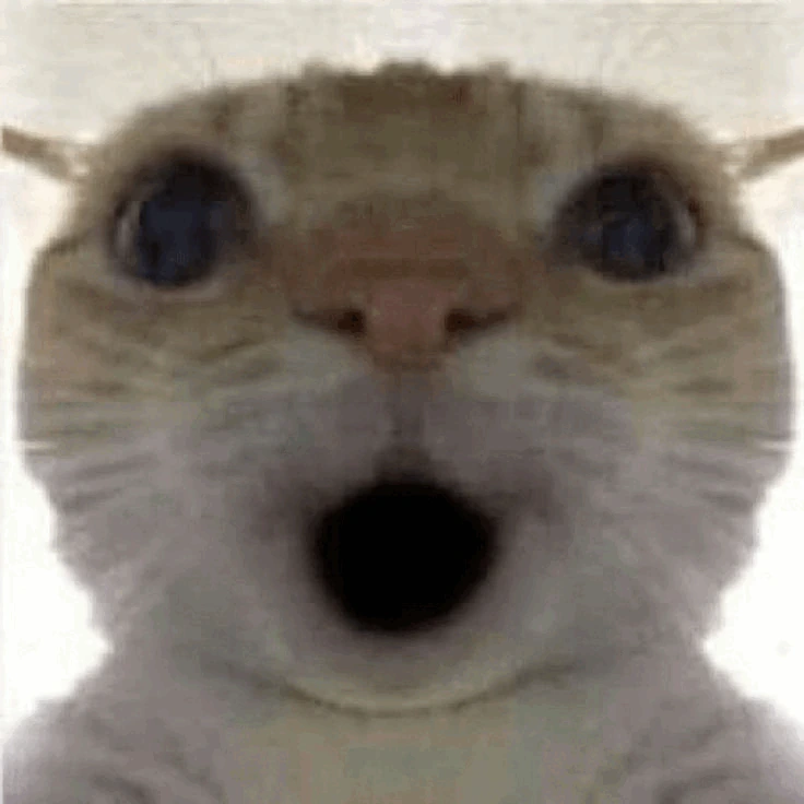 Shockedcat emote