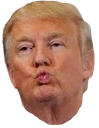 TrumpKiss emote