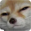 Stare2 emote