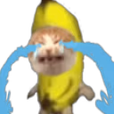 catSob emote