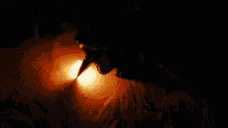 fire emote