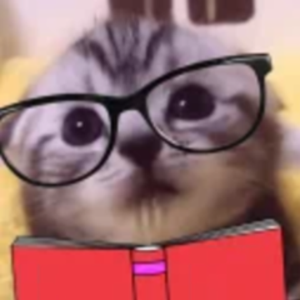 meowisek avatar