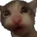 filip emote