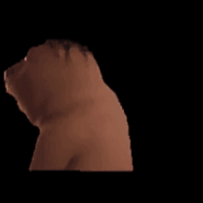 ChineseBeaver animated emote