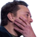 elomhmm static emote