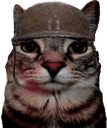 soldjacat emote