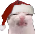 eww emote