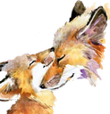 fox_family emote